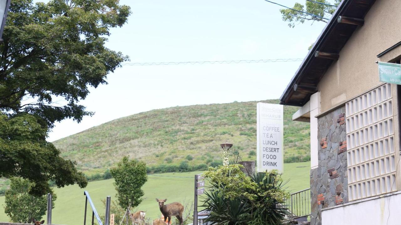 Mountain Home Lodge In Deer Park Nara Kültér fotó