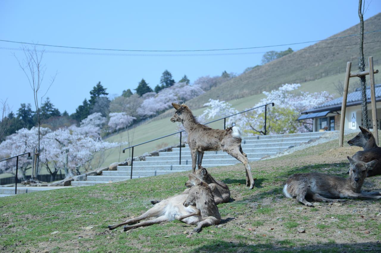 Mountain Home Lodge In Deer Park Nara Kültér fotó